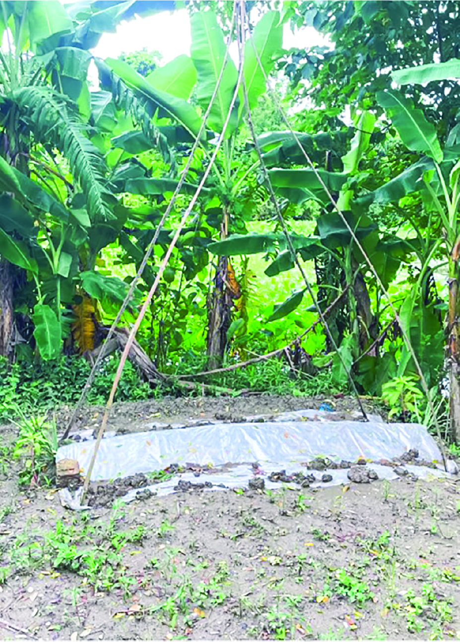 Image of বাঁধন
